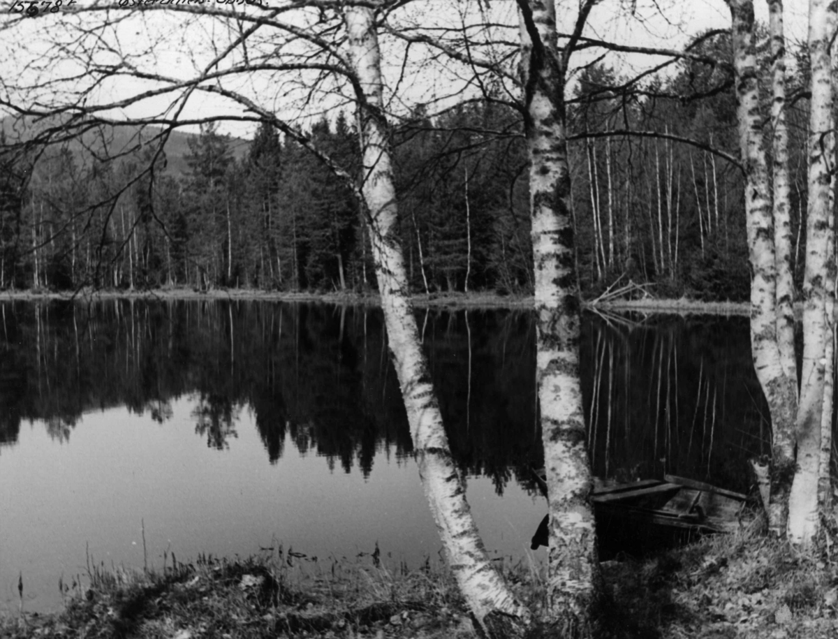 Anders Beer Wilse, Landskap Samf. Robåt Opphus