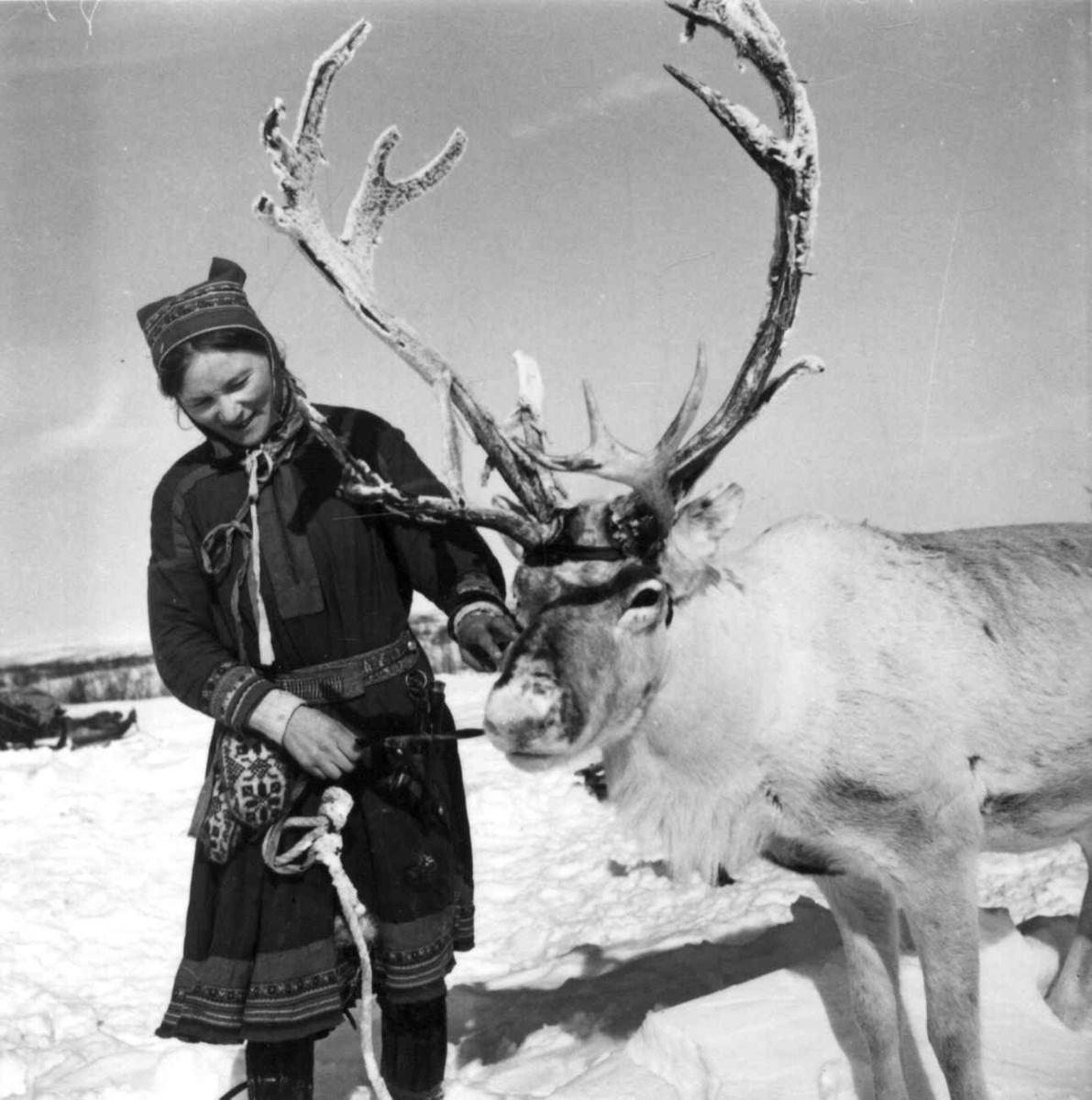 Virginia Raymond Davidson, Portrett av Berit Elen Aslak Sara med et reinsdyr, 1958.