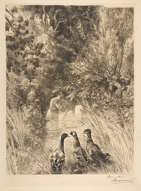 Félix Bracquemond, Canards surpris