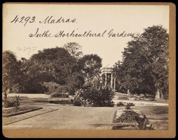 Francis Frith, Madras.  In the Horticultural Gardens