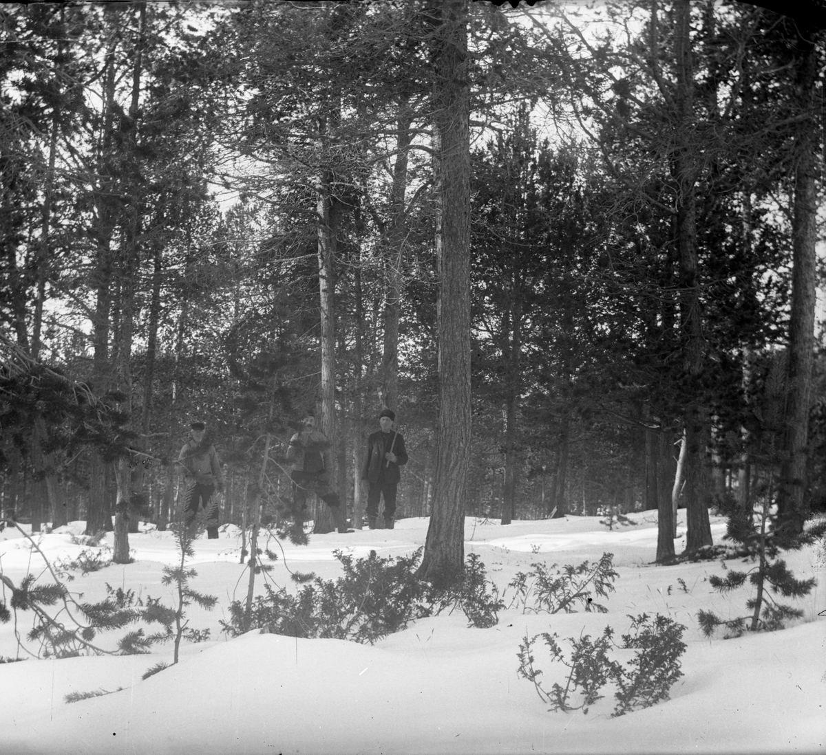 Anders O. Sørhuus, Menn i skogen