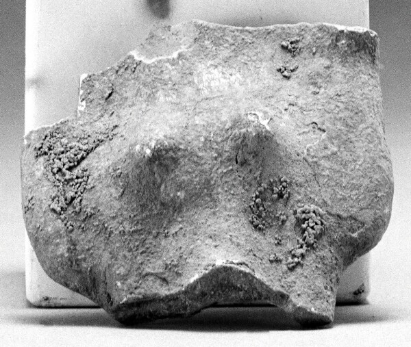 Unknown, Fragment of a Female Torso
