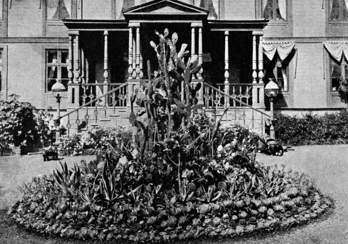 Anno Domkirkeodden, KAKTUSBED, BLOMSTERBED FORAN HOVEDINNGANGEN SÆLID GÅRDDubb: 0414-5791.