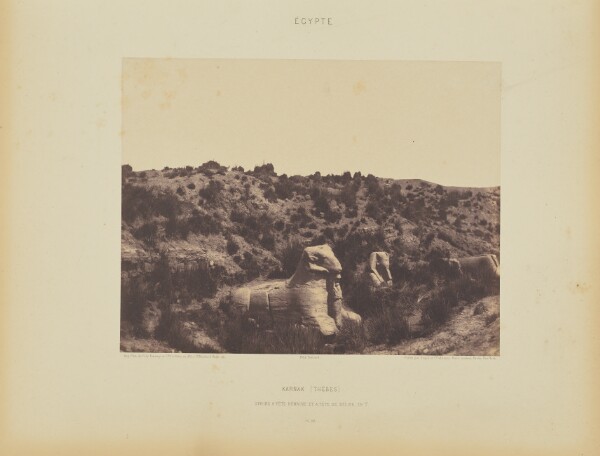 Félix Teynard, Karnak (Thèbes). Sphinx a Tête Humain et a Tête de Bélier, en Y