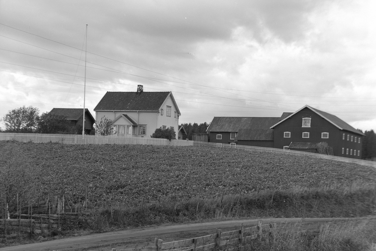 Anno Domkirkeodden, EKSTR: GARDSTUN, HOLSRUD, LØTEN. Se Løtenboka, bind 1. Bygdeboka fra 1949, side 283