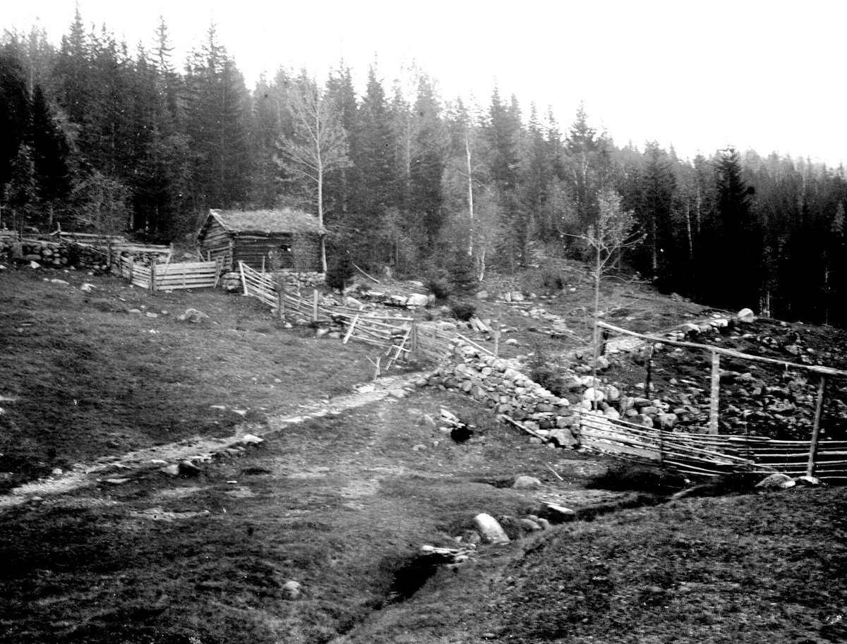 Juliane Fredrikke Langberg, Fra Eggedal, Sigdal, på besøk hos Th. Kittelsen. Fra utmark med et uthus (fjøs) med diverse gjerdetyper for inngjerding av beitemark. Fra malerinne Juliane Fredrikke Langbergs samling, tatt 1895-1910 med motivkrets slekt og venner samt steder tilknyttet samvær med disse.