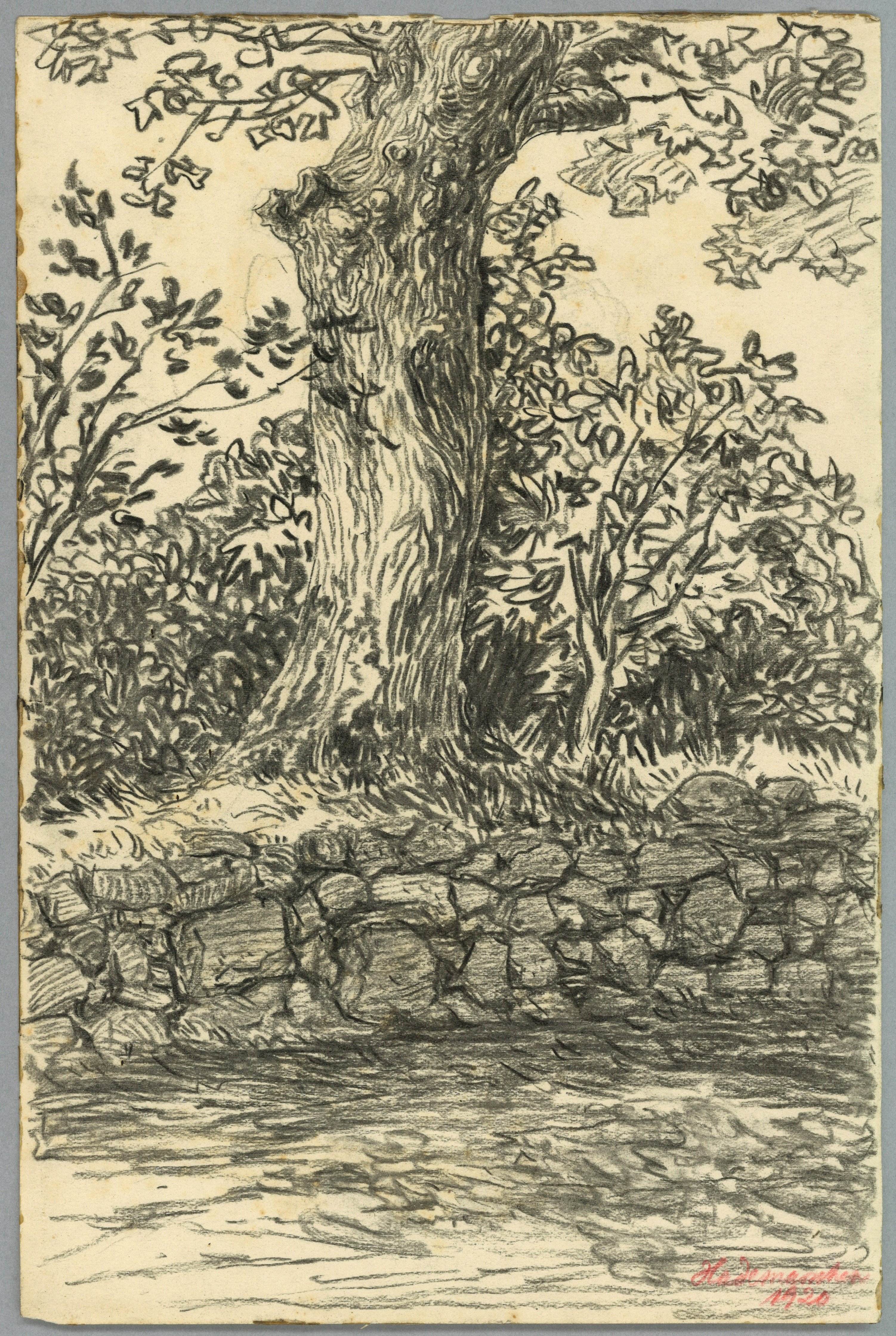 Otto Stiehl, Hademarschen (Holstein): Baum über Feldsteinmauer