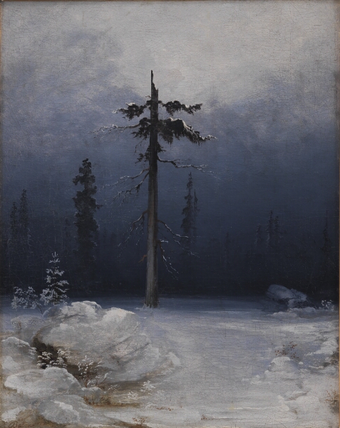 Peder Balke, Træ i vinterskov
