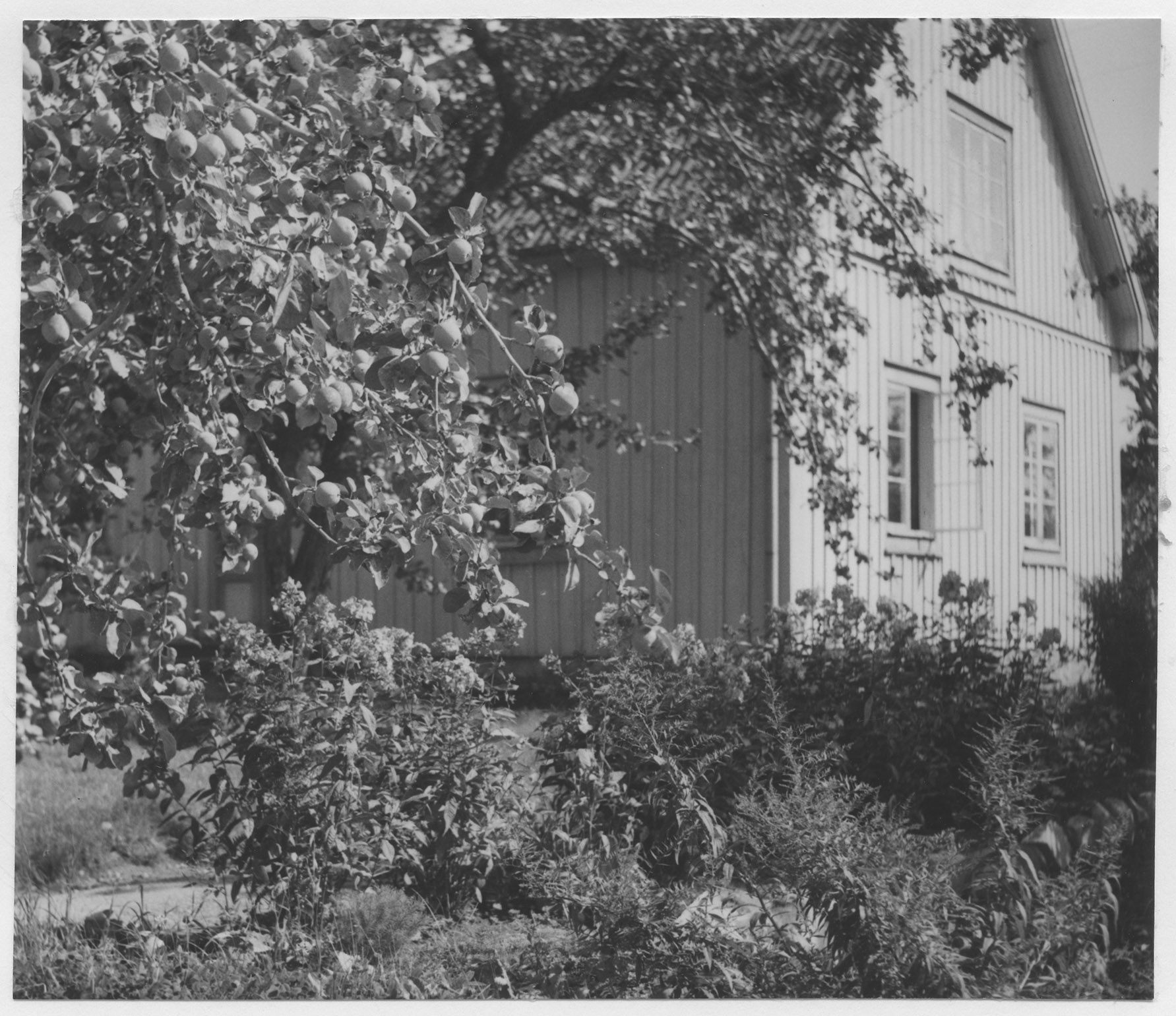 Mårten Sjöbeck, Sånnahult