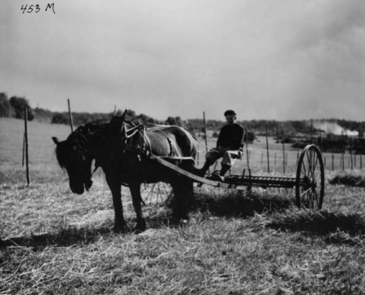 Anders Beer Wilse, -8035
