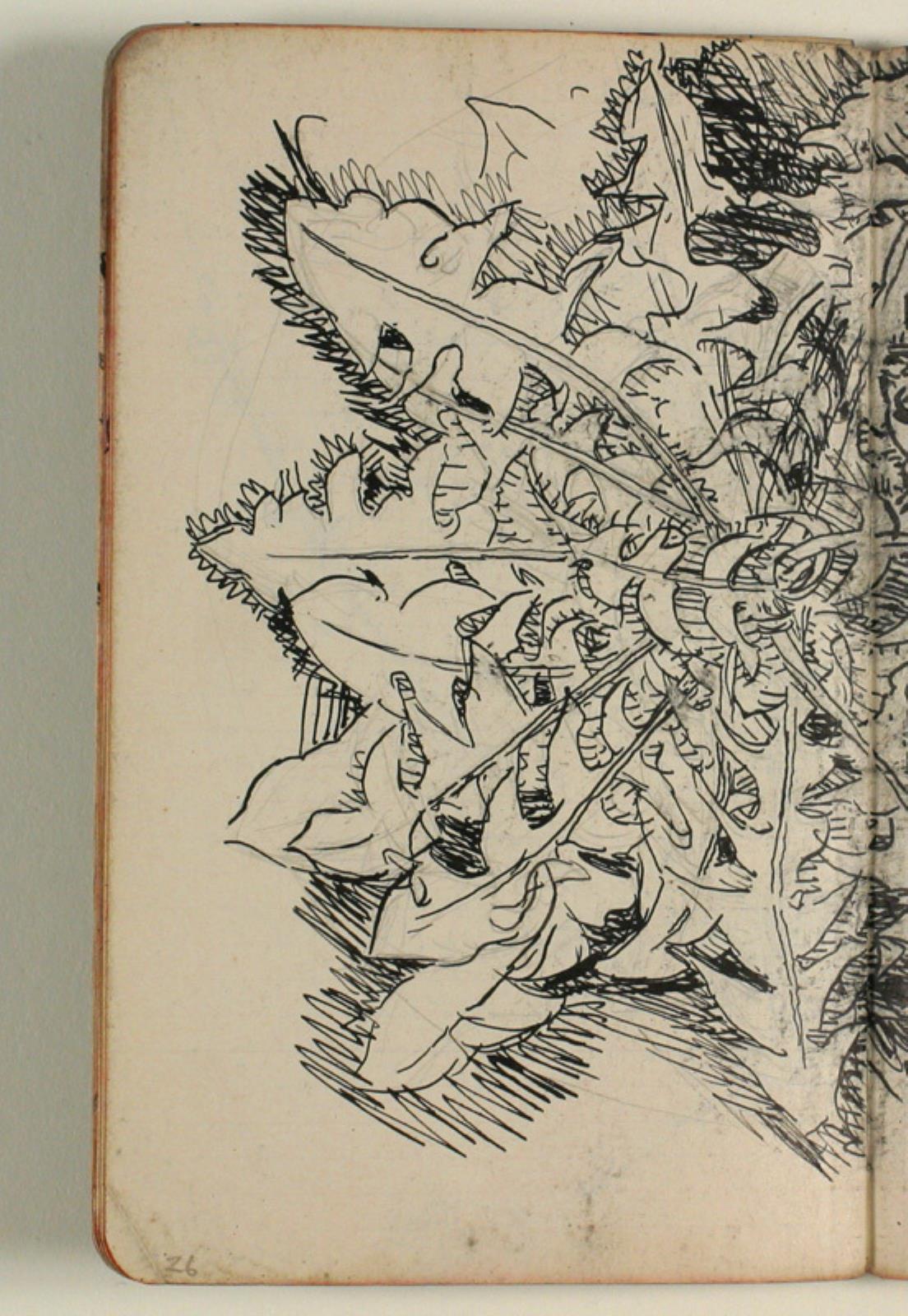 Niels Larsen Stevns, Plantestudie