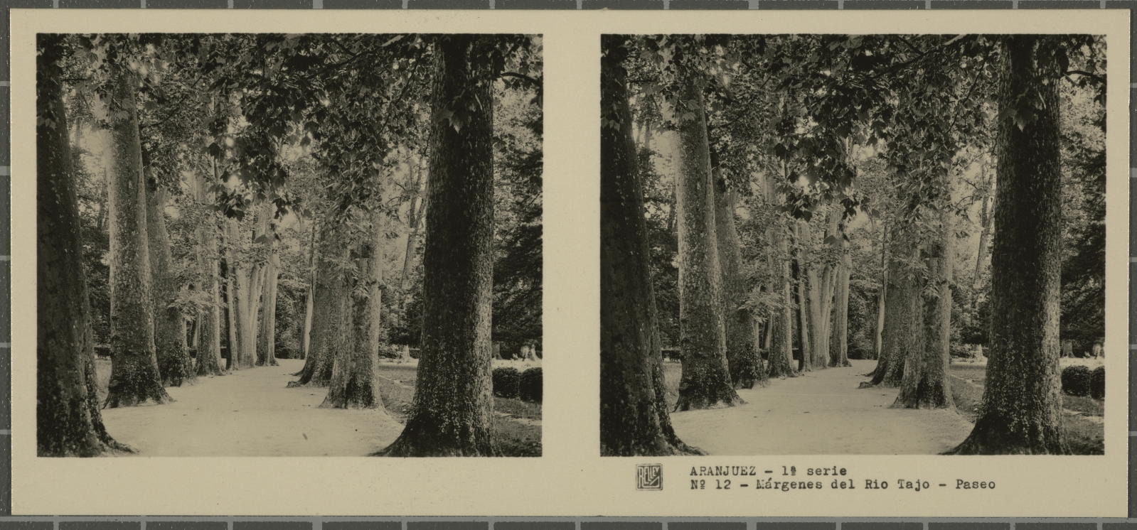 Desconegut, Aranjuez (Madrid)