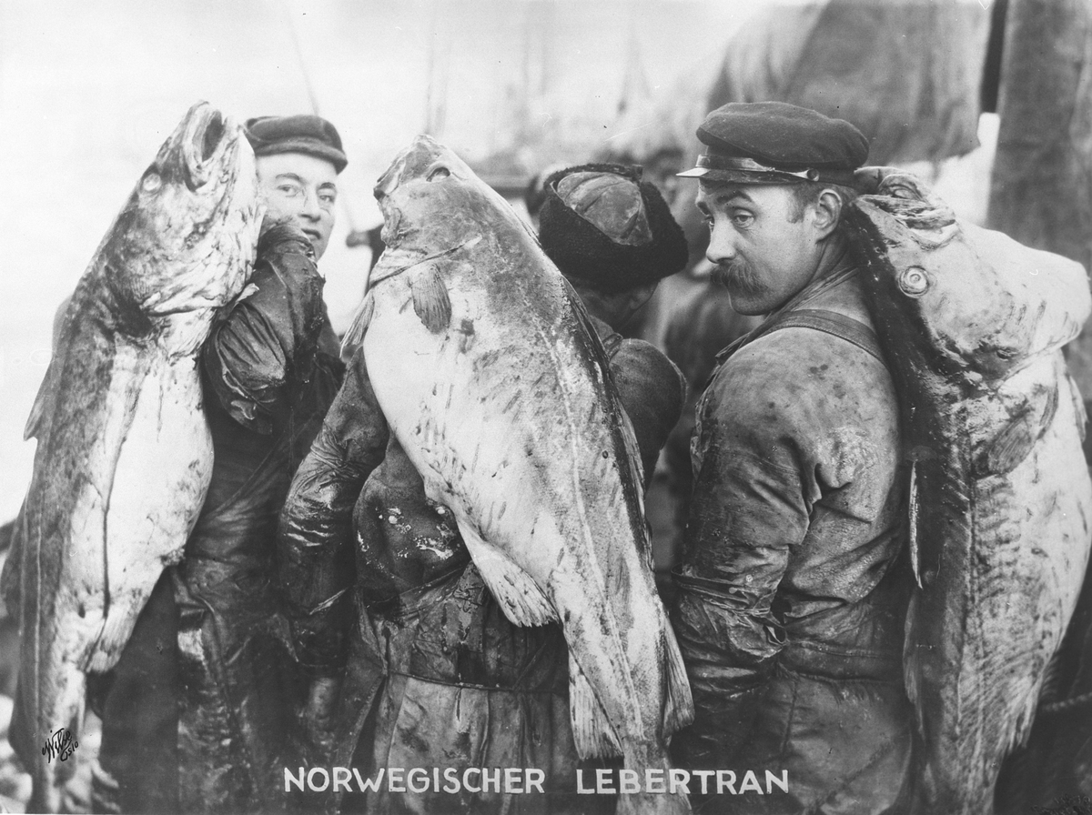 Anders Beer Wilse, Prot: 3 digre Torske (Skrei) Tekst på negativet: Norwegischer Lebertran