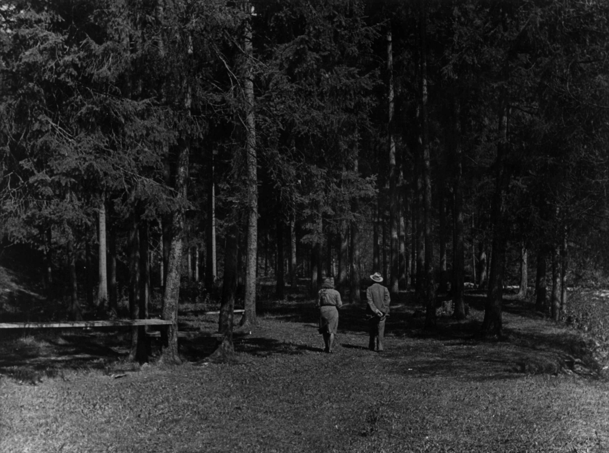 Anders Beer Wilse, Friluftsliv/Sport, Turgåing, v/ Lysakerelva.