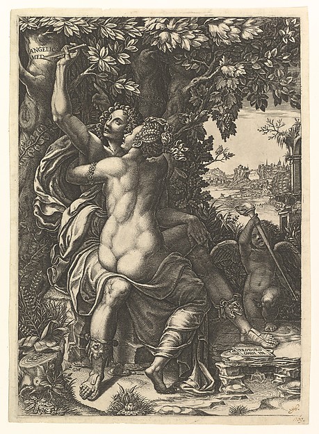 Giorgio Ghisi, Angelica and Medoro; the couple embracing, Medoro carving their names in the bark of a tree; Cupid holding a torch in the background