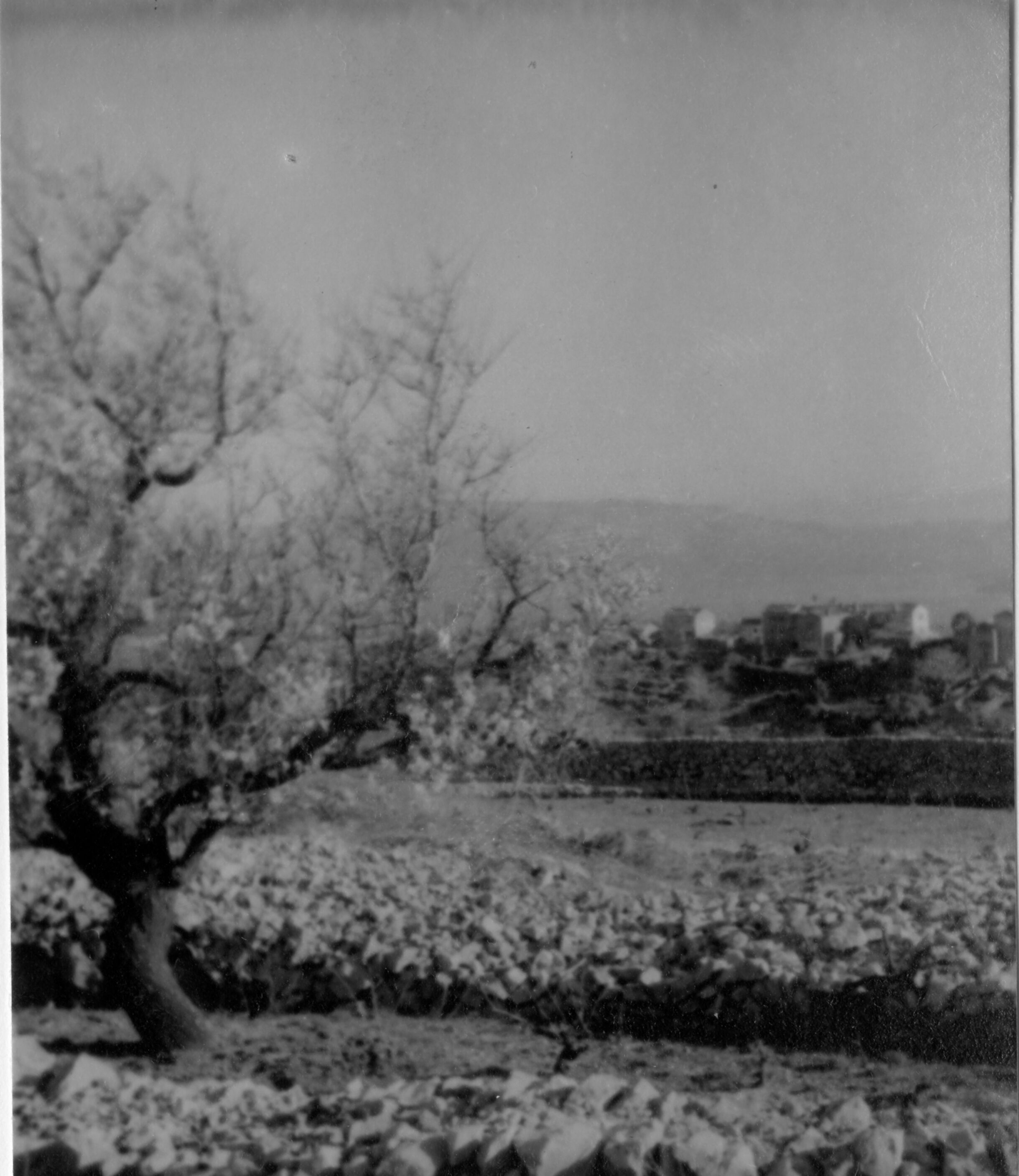Branko Fučić, Pernat, (otok Cres), krajolik, u pozadini mjesto Pernat