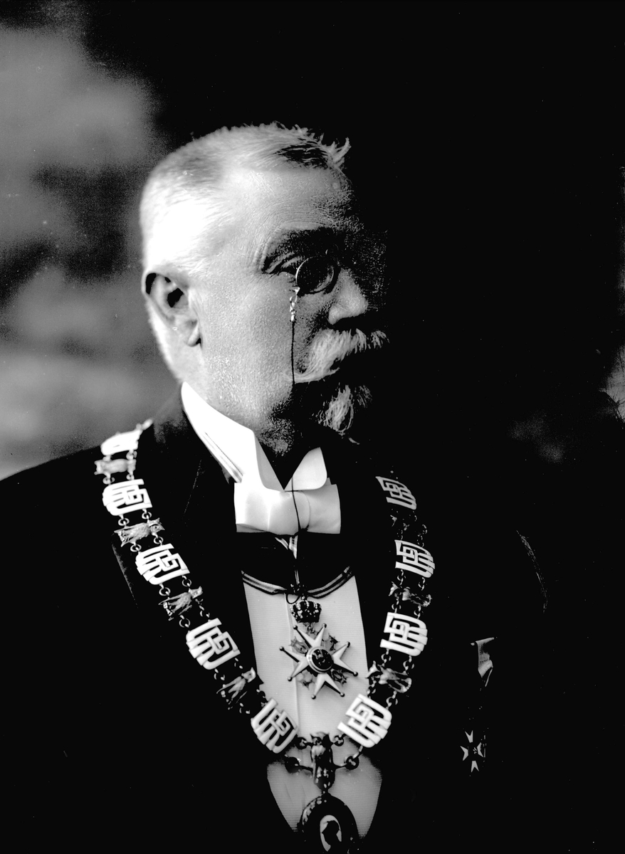 Gustav Borgen, Portrett, rektor ved universitetet i Oslo. Professor Morgenstjerna.