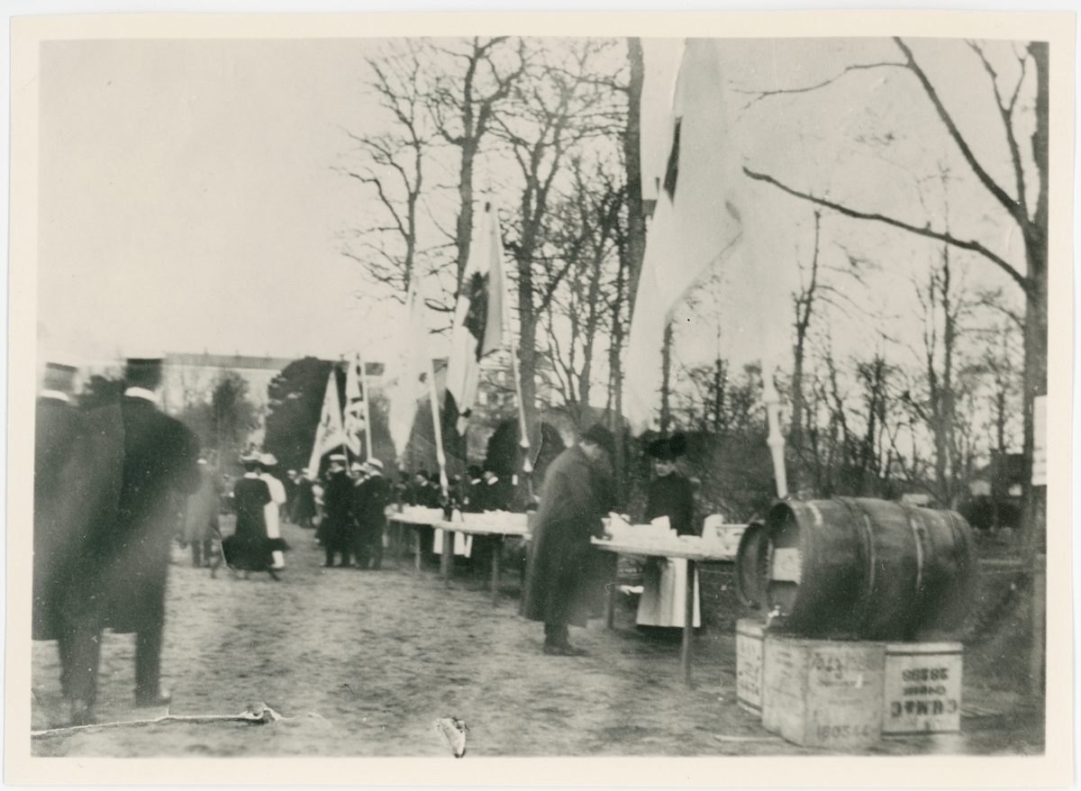 Okänd,, Studenternas vårfest, Uplands nationsrektor Carl Eriksson i förgrunden, Botaniska trädgården, Uppsala 1908
