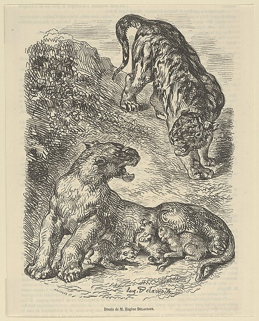 Eugène Delacroix, Tigress Attacked by a Tiger While Nursing her Young, from "Le Magasin Pittoresque"
