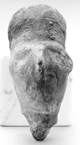 Unknown, Human Head