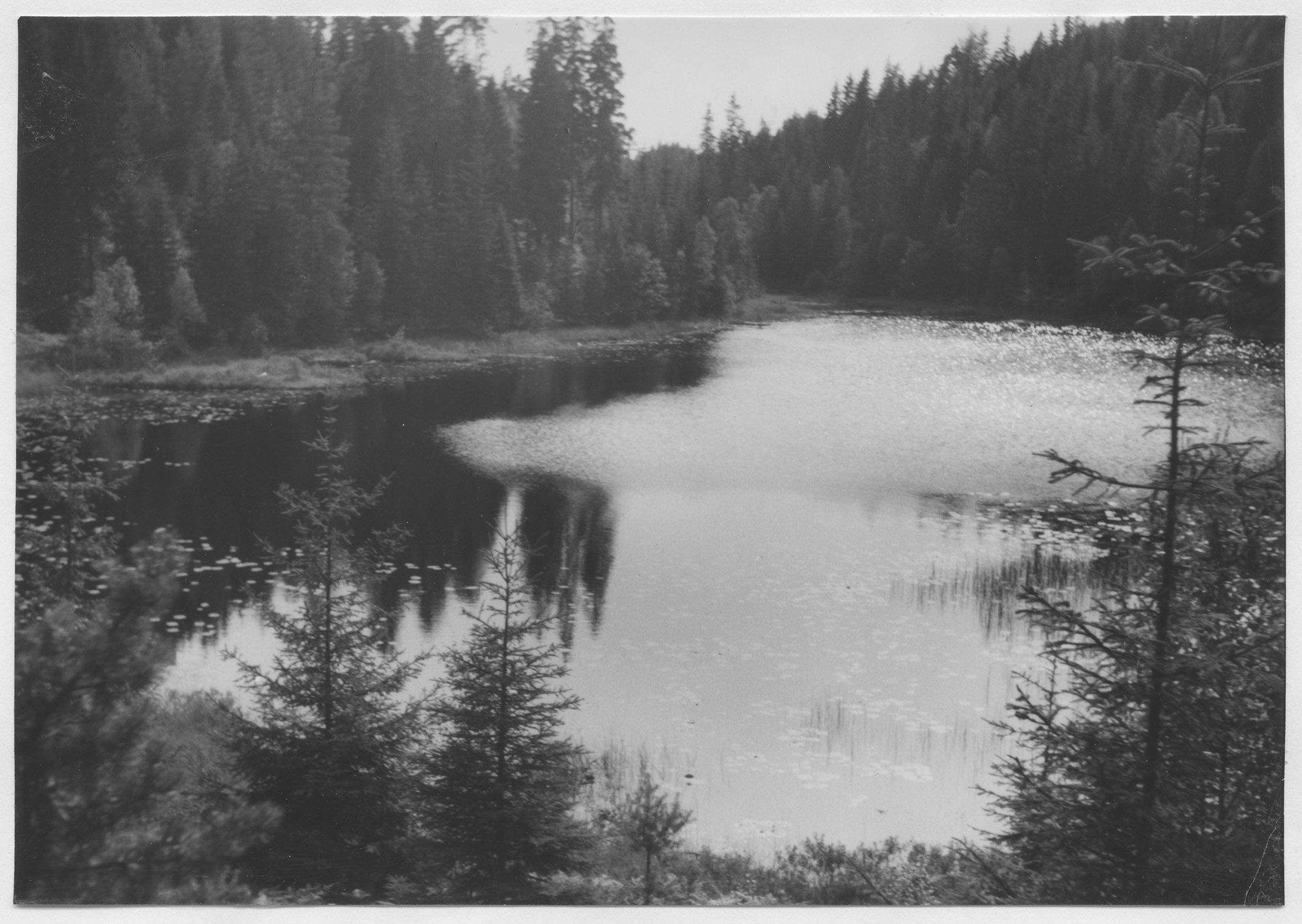 Mårten Sjöbeck, Bälnäs
