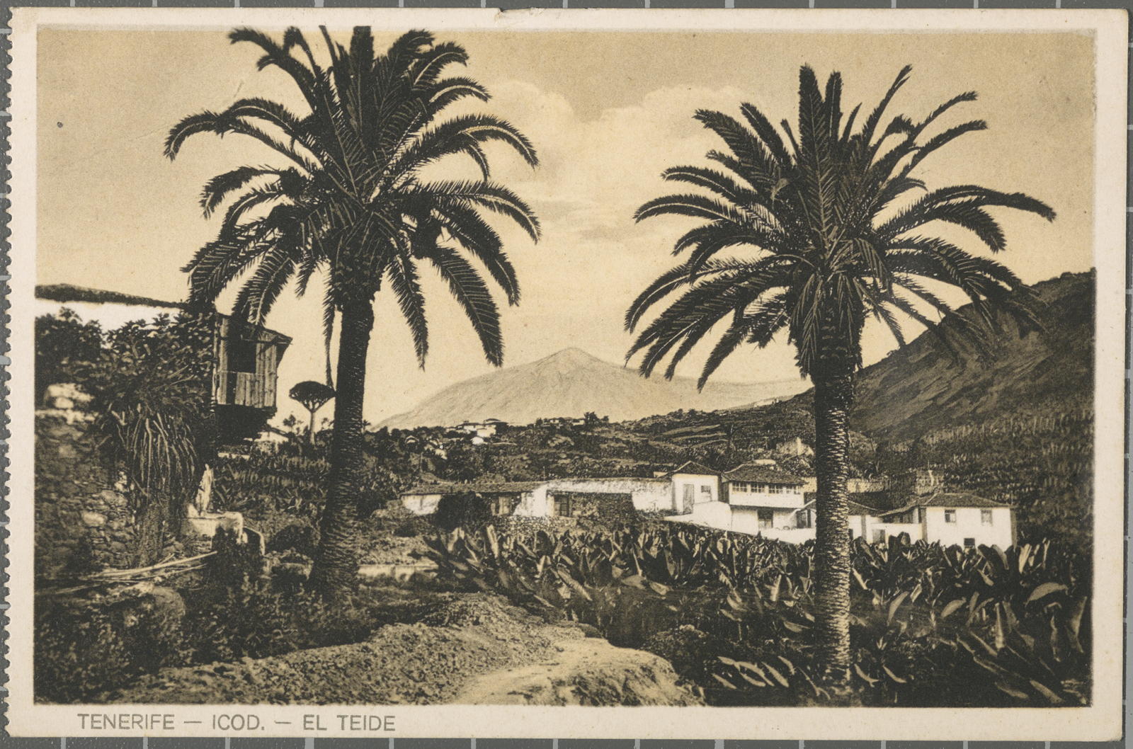 Desconegut, Tenerife - Icod. - The Teide