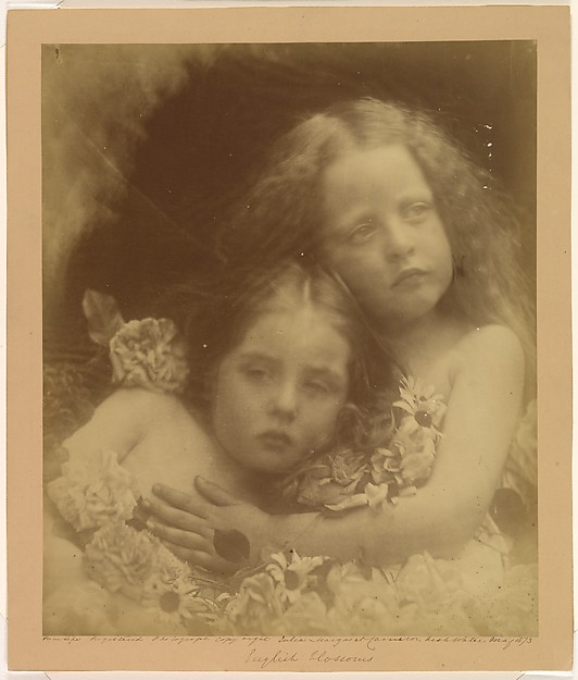 Julia Margaret Cameron, English Blossoms