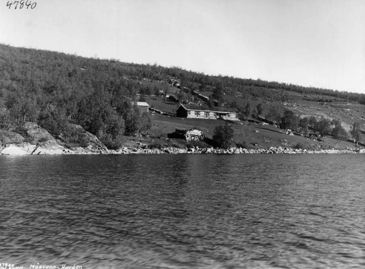 Anders Beer Wilse, Mosvatnet, Hovden
