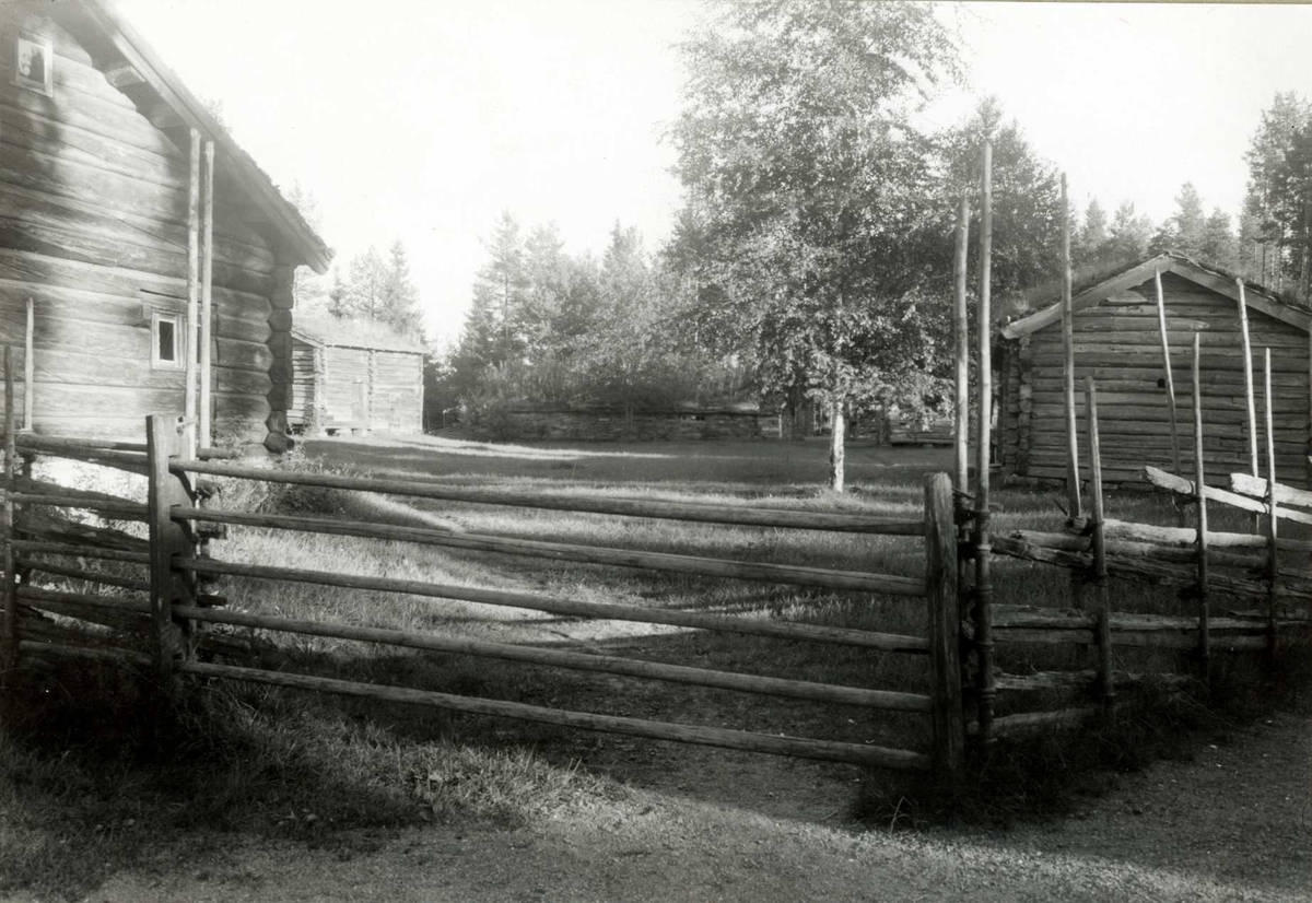 Gisle Midttun, Tynset, Nord-Østerdal, Hedmark. Grind. Nå på Glomdalsmuseet.