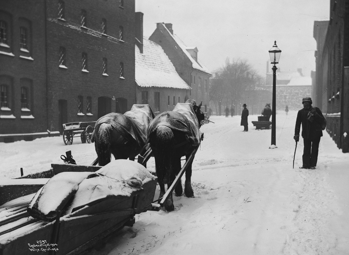 Anders Beer Wilse, Prot: Snestorm Vognmannsheste 13/2 1904