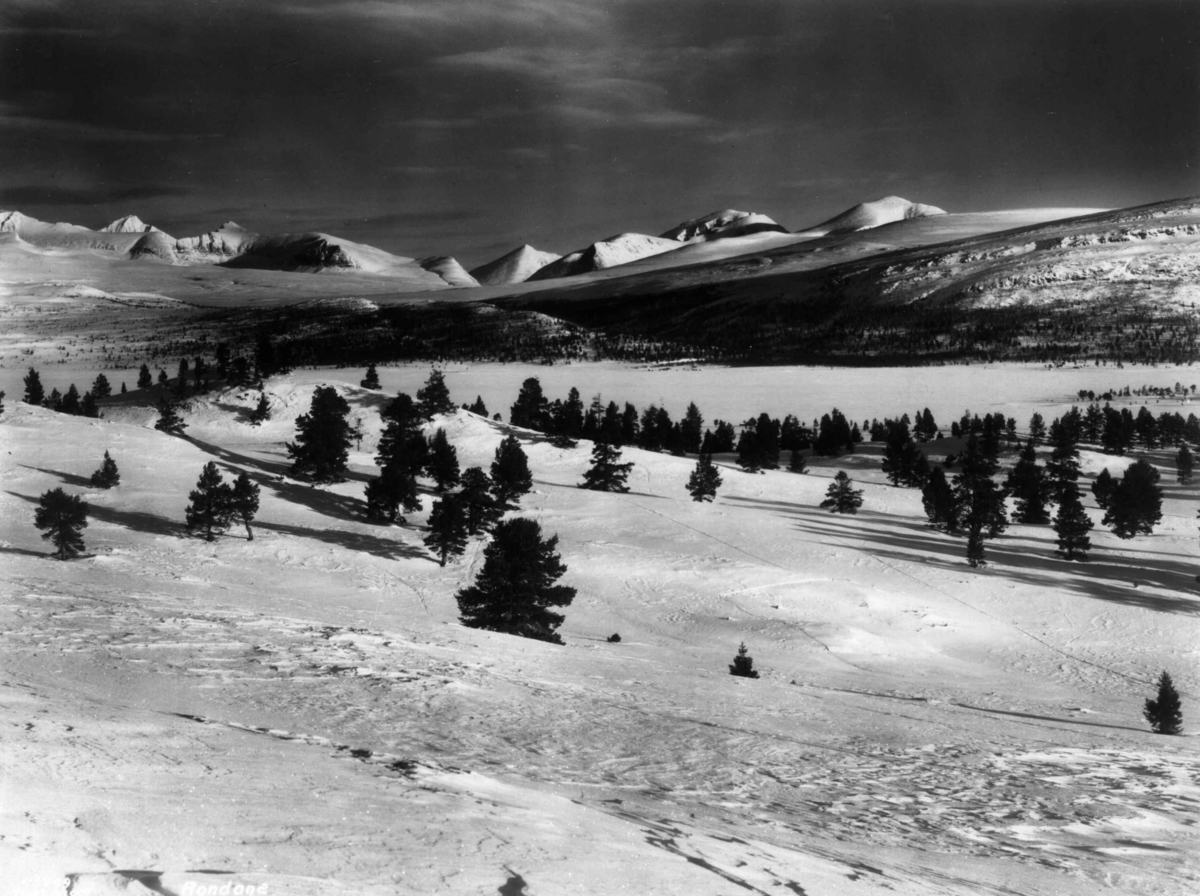 Anders Beer Wilse, Rondane, Landskap, Sno