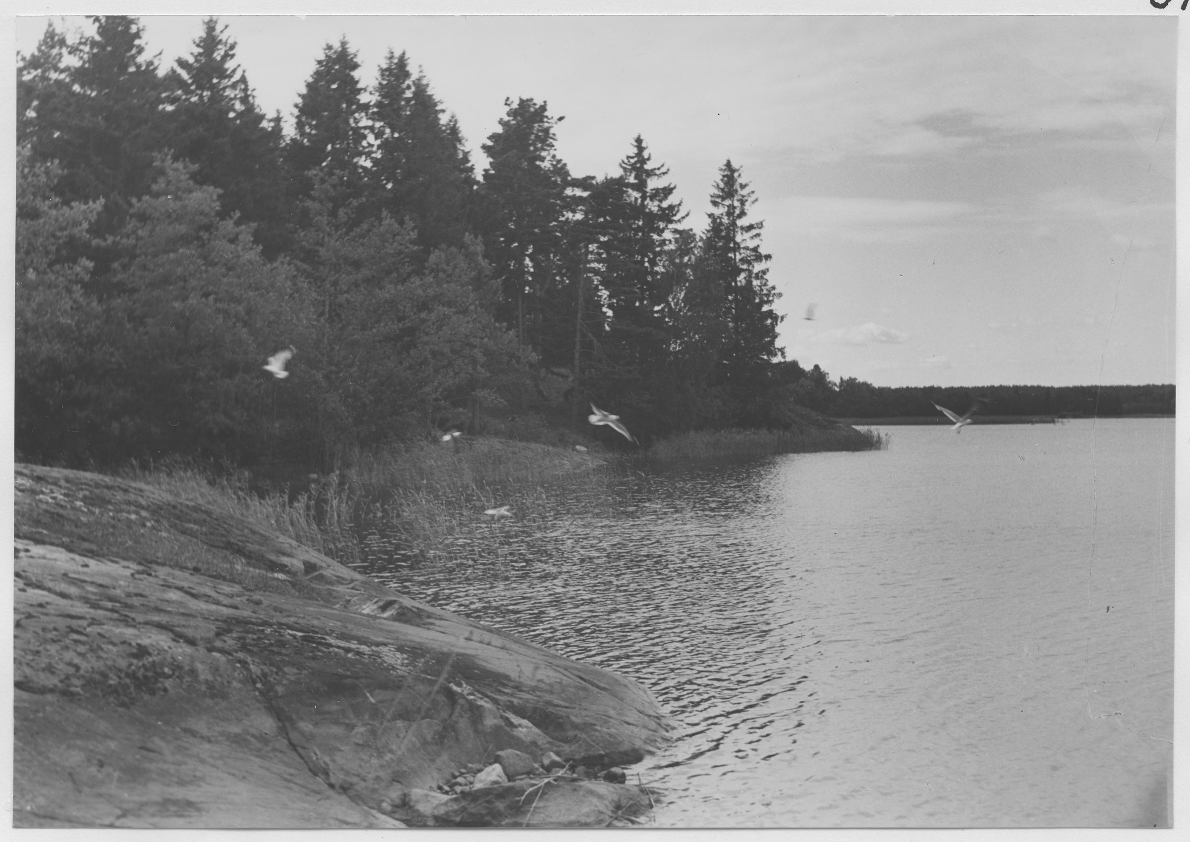 Mårten Sjöbeck, Solövägen
