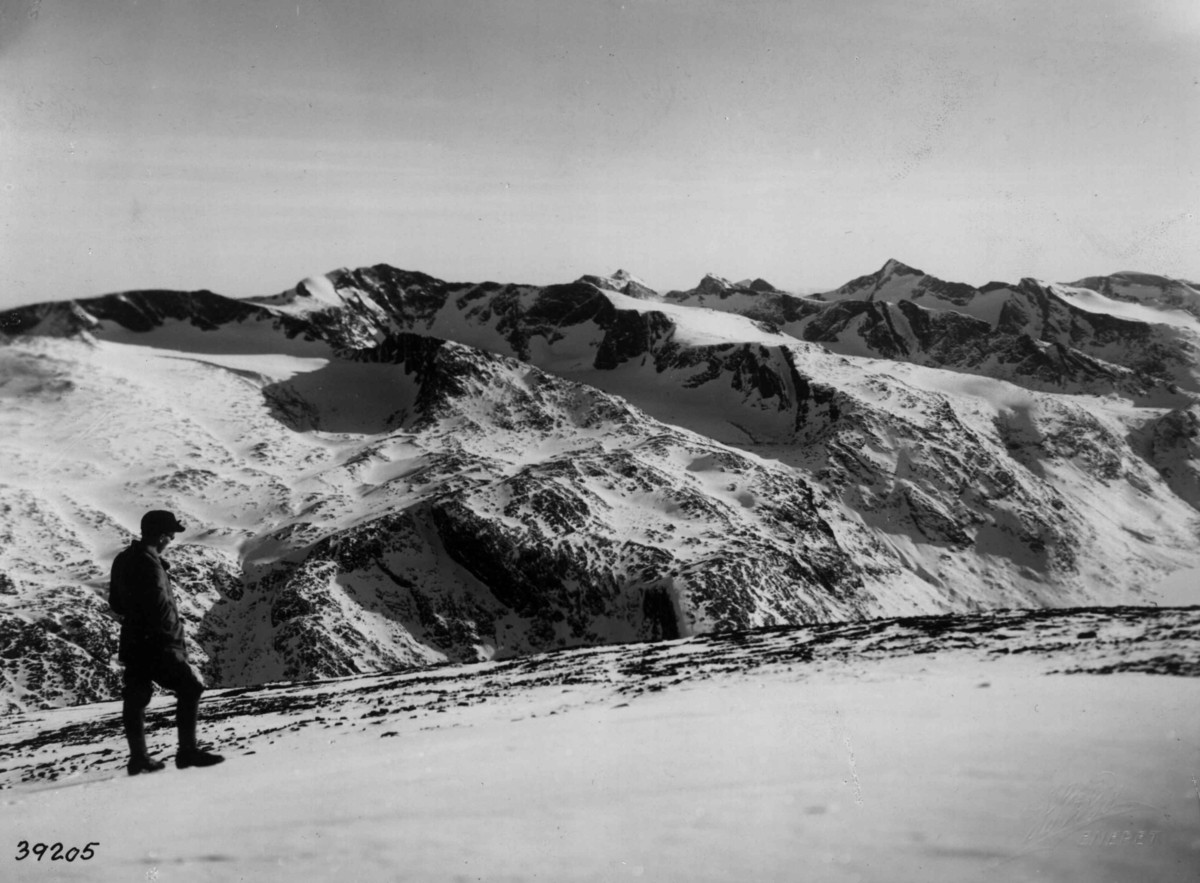Anders Beer Wilse, Jotunheimen, Utsikt fra Besshoi, Friluftsliv/Sport, Turgåing, Sno