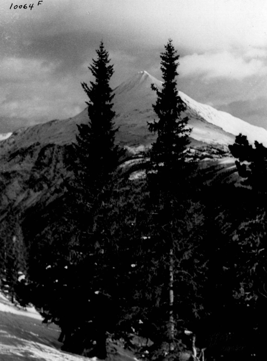 Anders Beer Wilse, Gaustatoppen.
