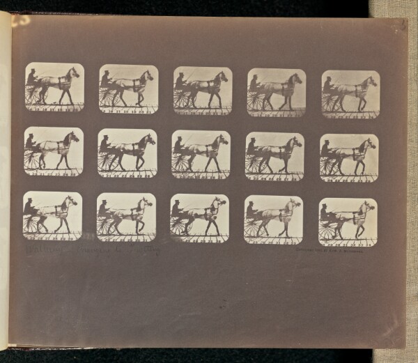 Eadweard J. Muybridge, Walking - Changing to Trotting