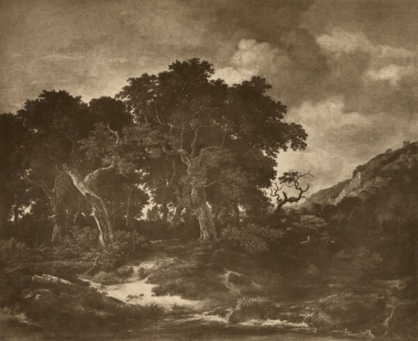 Adolphe Braun, Landscape Painting by Ruysdael