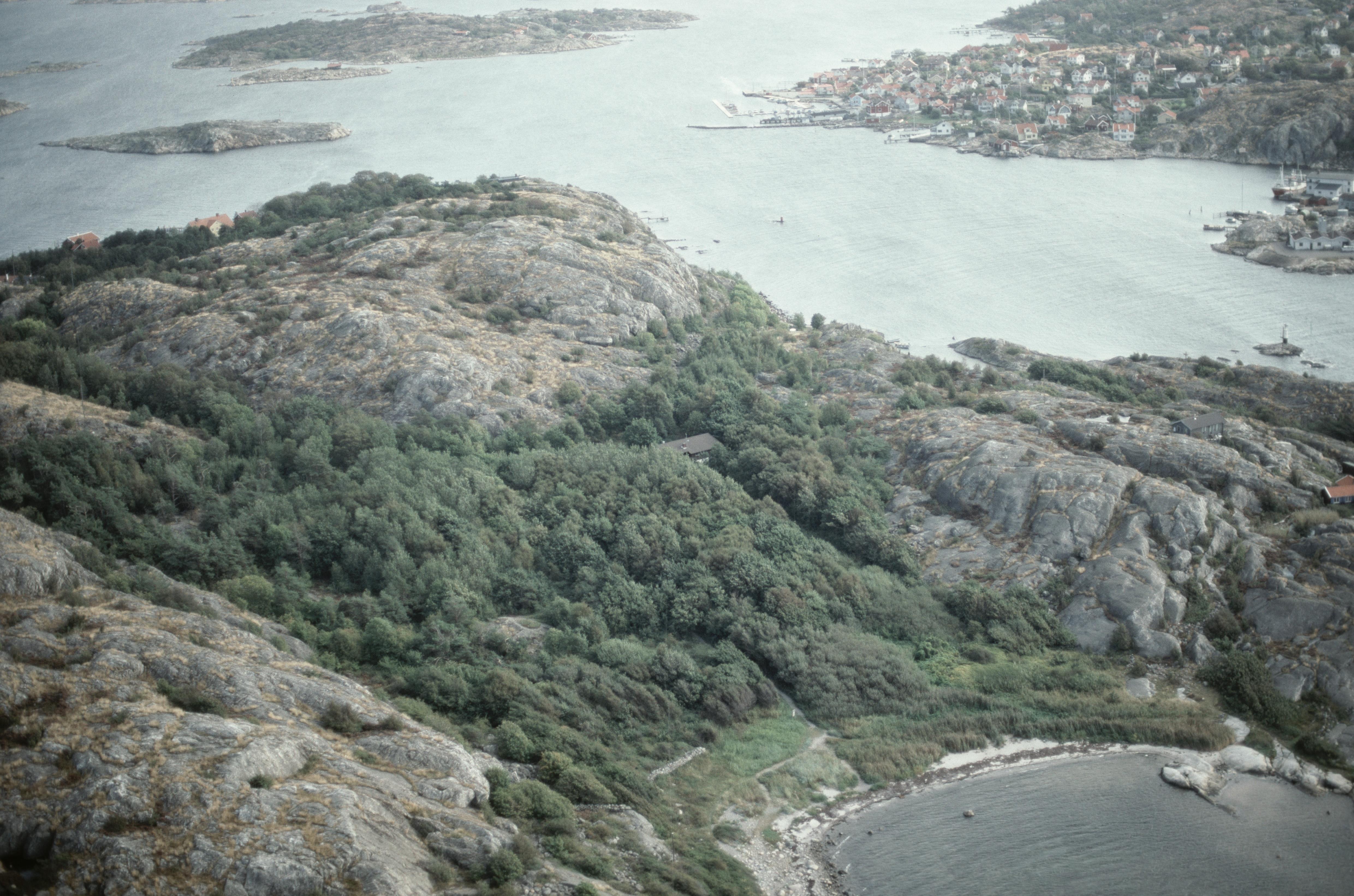 Jan Norrman, Vargö
