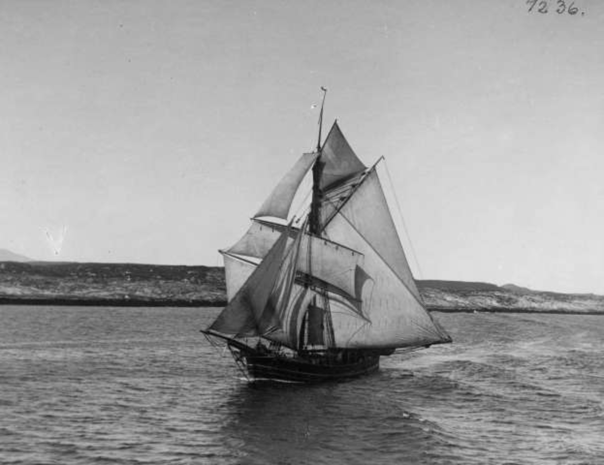 Anders Beer Wilse, -6142
