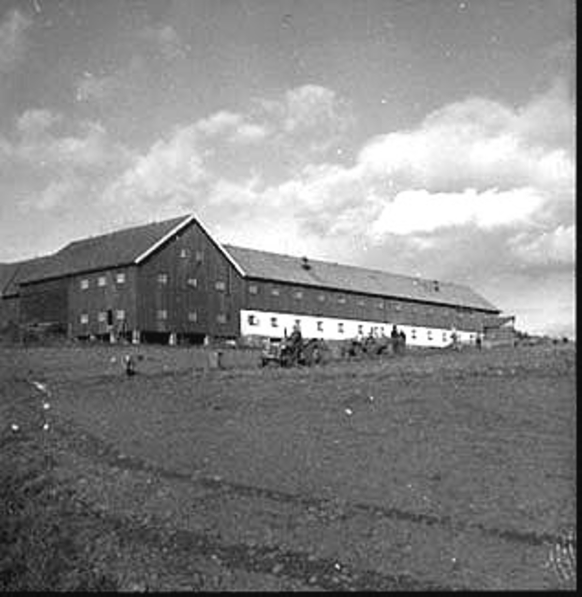 Anno Domkirkeodden, POTETPLUKKING, HUSEBY GÅRD, EKSTERIØR: DRIFTSBYGNING, LÅVE,