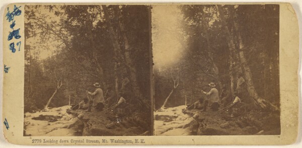 Edward Bierstadt, Looking down Crystal Stream, Mt. Washington, N.H.