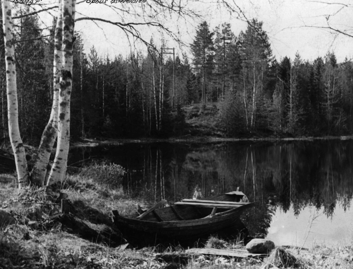 Anders Beer Wilse, Landskap Samf. Robåt