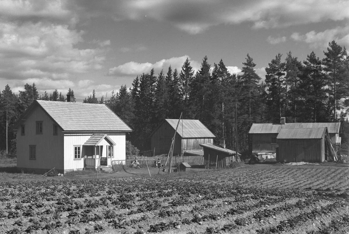Anno Domkirkeodden, EKSTR: GARDSTUN, GAUKSLETRØNNINGEN, RYDNINGEN
