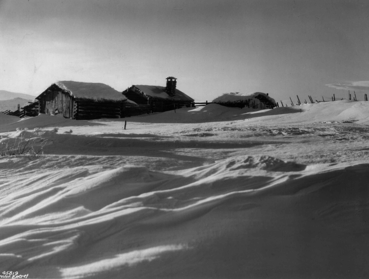 Anders Beer Wilse, Setergrind, Sno
