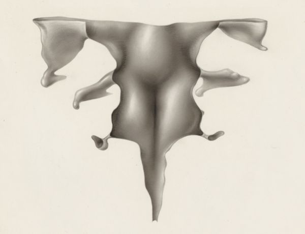 J Tinkelenberg, Specimen of the embryological head