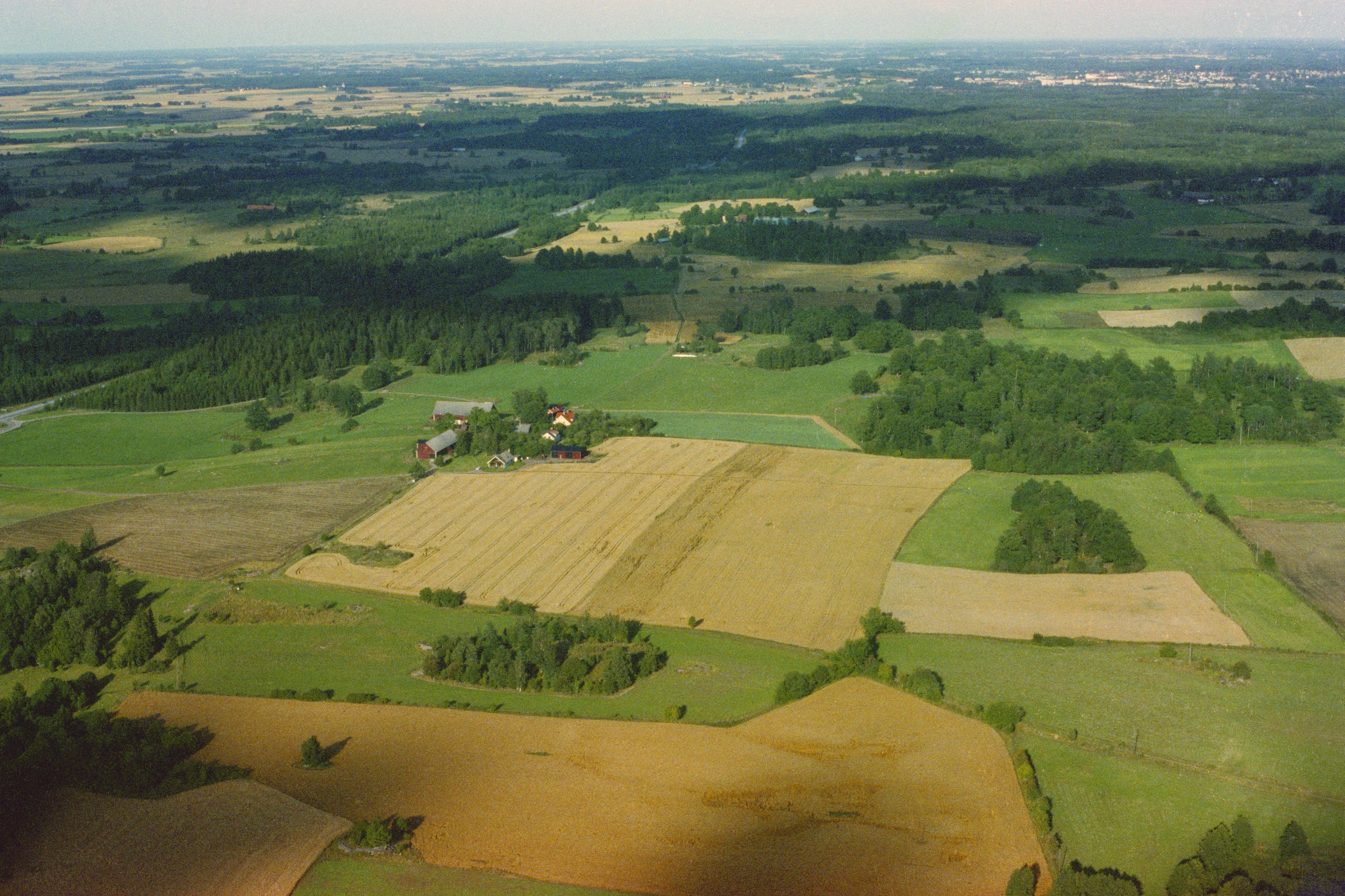 Jan Norrman, Rinna 287:1