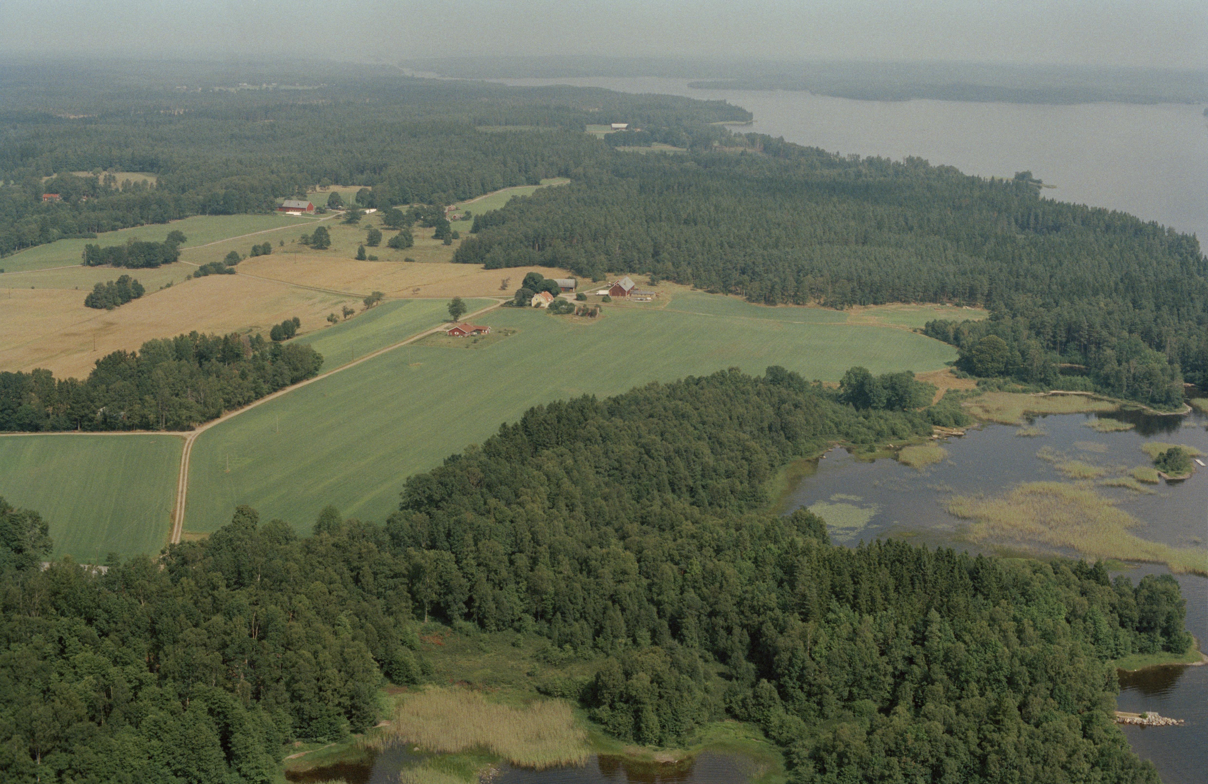 Jan Norrman, Bolsmö 36:1
