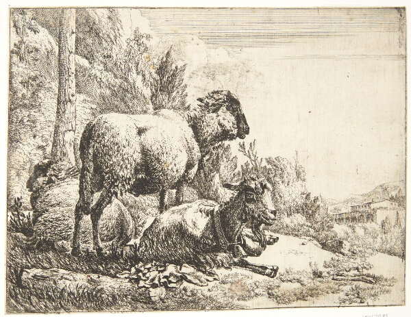 Johann Heinrich Roos, Stående og liggende får, i midten et får med klokke