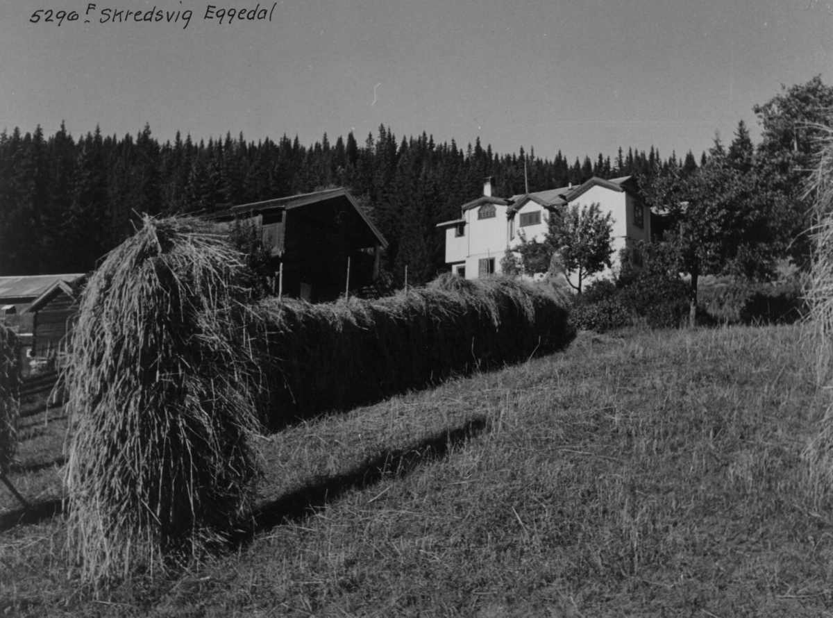 Anders Beer Wilse, Skredsvigs hjem
