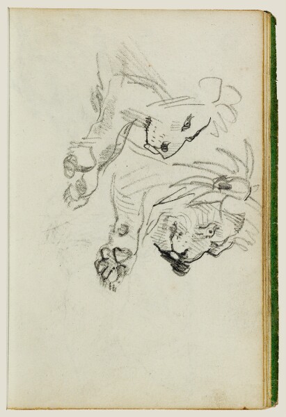 Théodore Géricault, Two lion studies