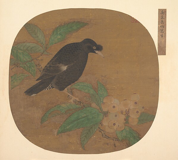 Unidentified artist, Minah Bird on a Loquat Branch